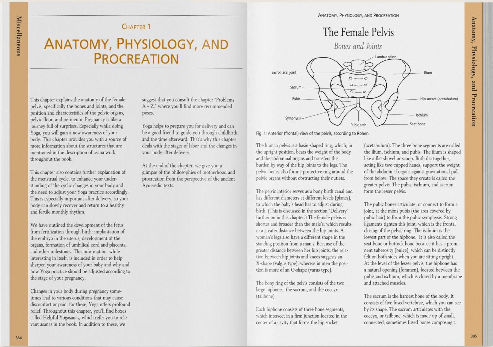 Iyengar Yoga for Motherhood - Rita Keller